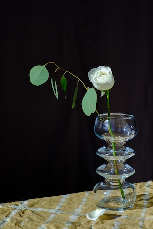 белая роза в стеклянной вазе 