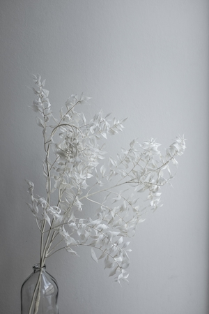 белые цветы в колбе 