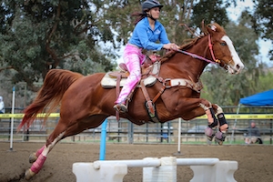 коричневый конь с наездником пролетают над одним из прыжков в спешке на шоу