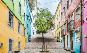 Дерево посреди улицы цветных домов