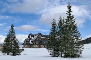 снежный пейзаж, ели и красивый дом на природе 