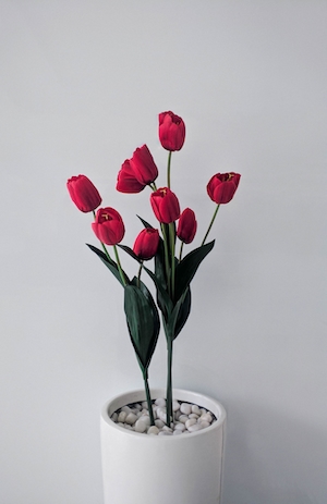 Ваза для цветов из красного тюльпана