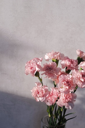 Нежные белые и розовые цветы