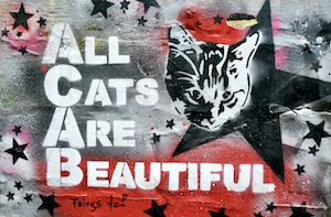 граффити "все коты прекрасны"