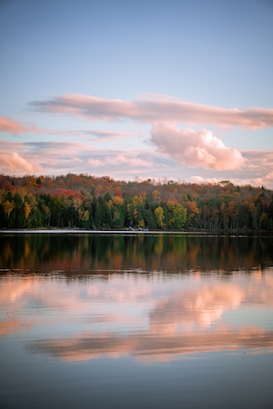 Осенний лес у озера, отражение леса в воде озера, озеро на закате 