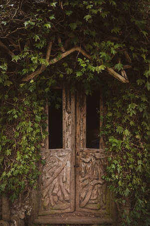 Замок Лоутер, дверь, обросшая зеленым плющом 