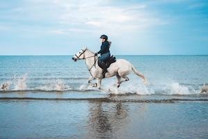 Всадник на лошади на пляже