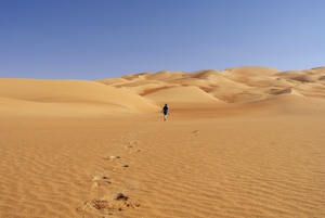 верблюд в пустыне, песчаные дюны, барханы