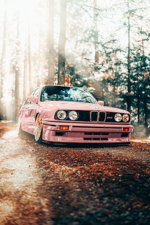 Розовый E30 M3 в солнечном лесу.

