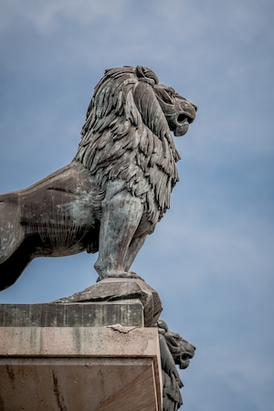 статуя льва вид снизу 