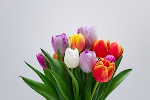Букет разноцветных тюльпанов в бирюзовой вазе