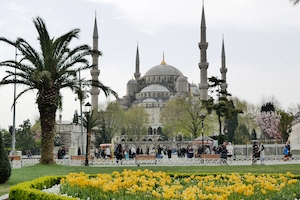 Стамбульский Султанахмет Камии, Голубая мечеть