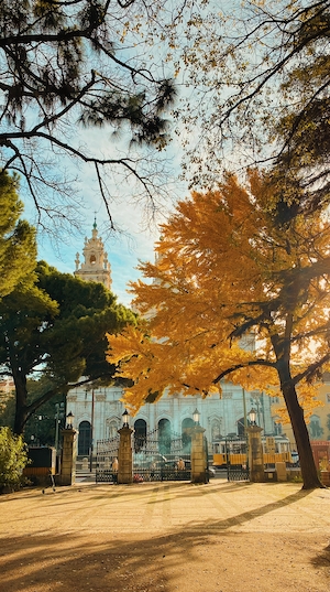 Осень в Лиссабоне 