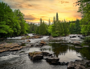 горная река, лесной каскад водопадов, вода и камни в лесу во время заката 