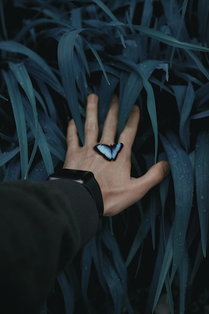 голубая бабочка сидит на руке человека 