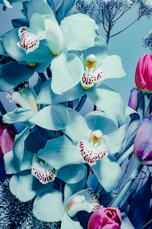 Цветочная композиция из орхидей и тюльпанов