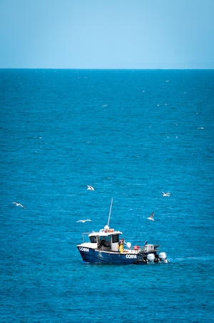 Рыбак ловит крабов на лодке, синее море