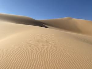Пустыня Алжир - Сахара, песчаная дюна, пески в пустыне, пейзаж в пустыне