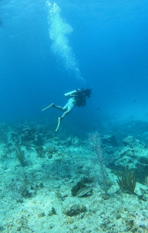 Погружение, аквалангист плавает под водой, морское дно 