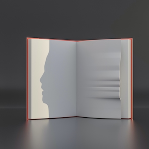 оптическая иллюзия, свет и тень, книга 