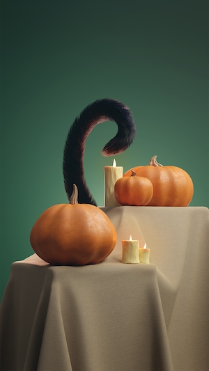Хэллоуинские тыквы и кошачий хвост