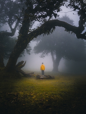 мальчик в желтой куртке в туманном лесу 