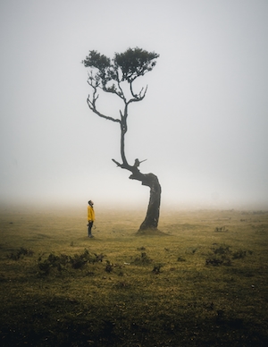 фотосессия в стиле Гарри Поттера, фото человека на туманном поле возле одинокого дерева 