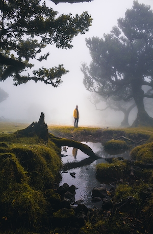 фотосессия в стиле Гарри Поттера, фото человека в туманном лесу 