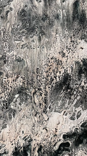 Часть коллекции "Начало" венгерской художницы Кучоры Марты, черно-белая абстрактная картина 