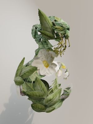 цветы и зеленые листья, 3D-модель на белом фоне 