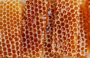 Крупный план пчелиных сот