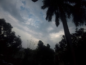 силуэт пальм на фоне закатного неба 