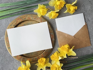 Макет весенней открытки, мокап белый лист, крабовый конверт и цветы нарцисса 