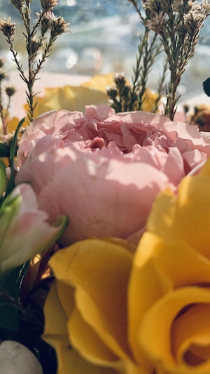 Розовые и желтые цветы
