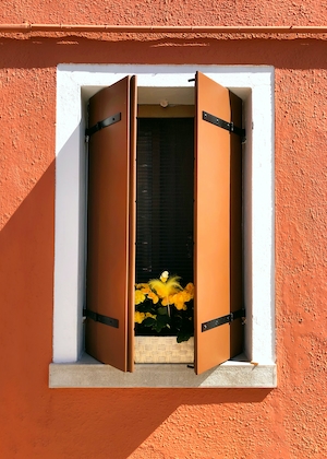 ставни, закрывающий окно с цветами 