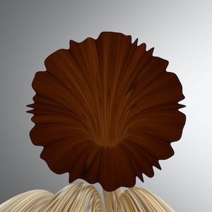 абстрактная 3D картинка, коричневый цветок 